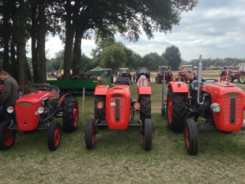 Bilder_Nordhorn_20130811 (15)