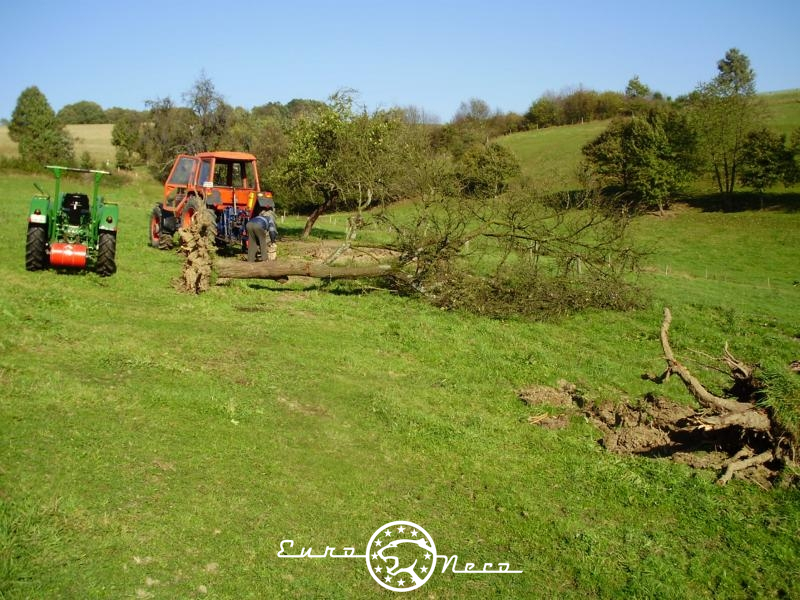 091020_Seifwiede2_K800