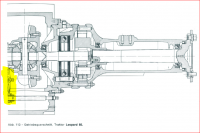 leopard2.PNG