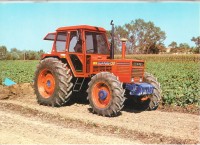 Buffalo130_Bild 001.jpg